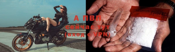 молекула духа Заводоуковск