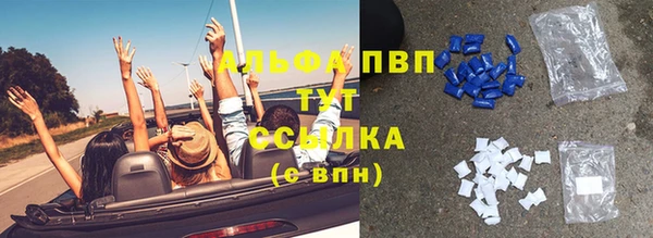 молекула духа Заводоуковск