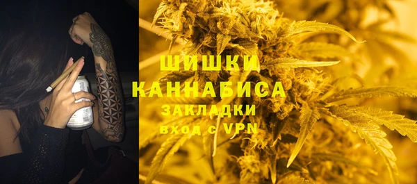 молекула духа Заводоуковск