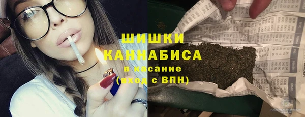 молекула духа Заводоуковск